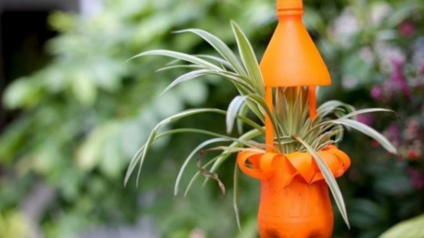 Redescubre cómo reutilizar tus botellas de plástico en jardines verticales y macetas