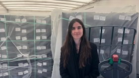 De una finca tucumana a Europa: el proyecto joven que exportó ajíes gourmet