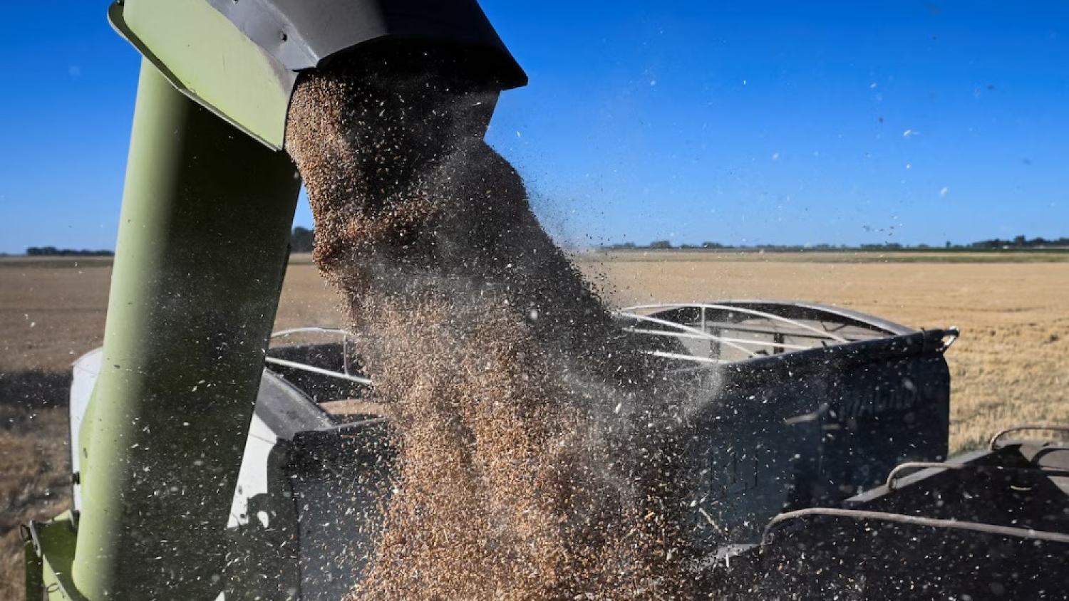 Retenciones: el Gobierno oficializó una nueva baja para el agro y definió un cronograma de reducción hasta 2028