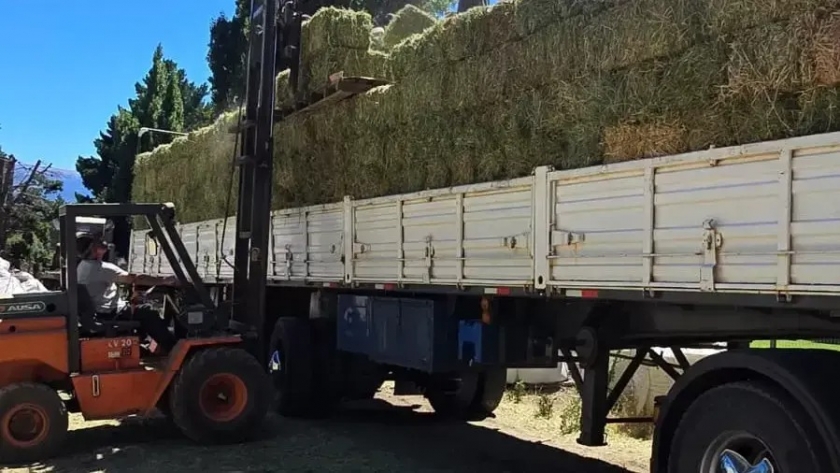 Emergencia agropecuaria: asistencia inmediata y gestiones ante Nación