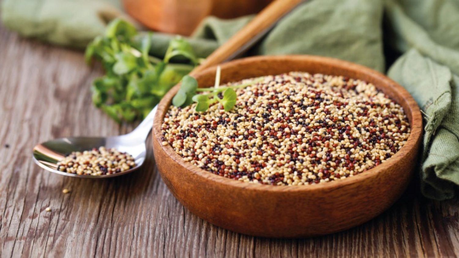 La quinua gana terreno en Cuyo: con menos agua logra rendimientos competitivos y alta calidad