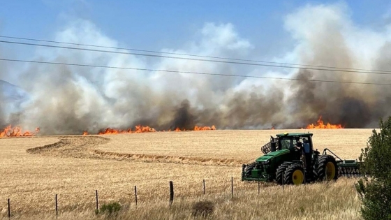 Alerta por incendios rurales: INTA Chubut difundió medidas clave para reducir riesgos en el campo