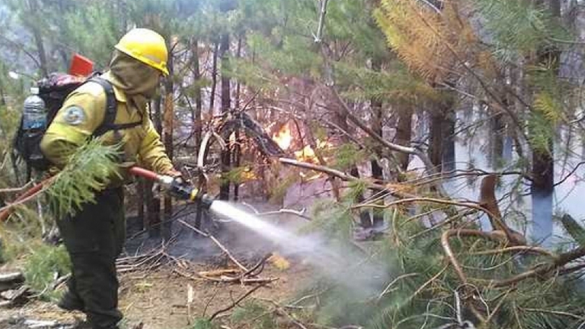Se fortalecen los recursos humanos para controlar el incendio en Cuesta del Ternero