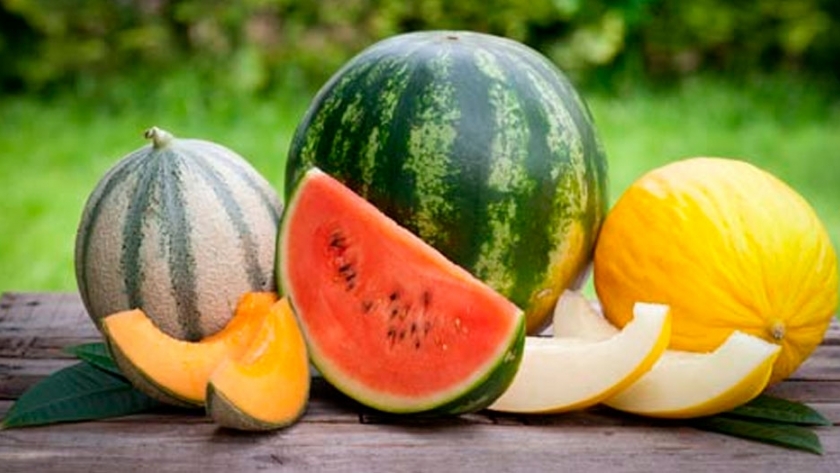 Fomentan el crecimiento de la producción hortícola en La Pampa