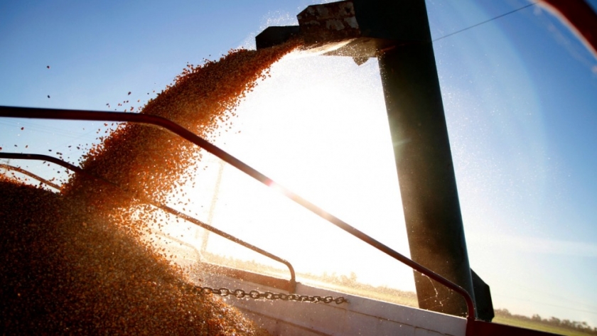 El Gobierno Nacional simplifica los requisitos para la exportación de granos, carnes y lácteos y moderniza el registro para los productores agroindustriales