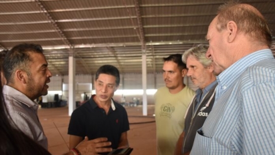 Misiones impulsa la mayor inversión industrial con bambú de América Latina