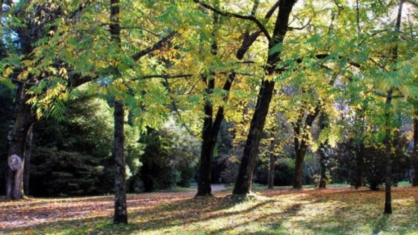 El Jardín Botánico de la Universidad Austral de Chile, un ícono regional en pleno renacimiento