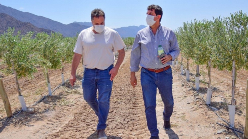 Puy Soria y Rejal compartieron ejes estratégicos sobre Tierra, Producción y Empleo