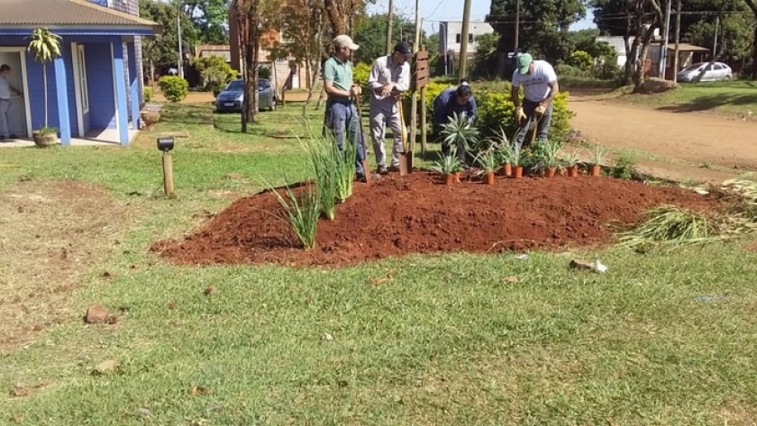 Arbolado Urbano: se plantaron 20 ejemplares de diversas especies en un boulevard de Virasoro