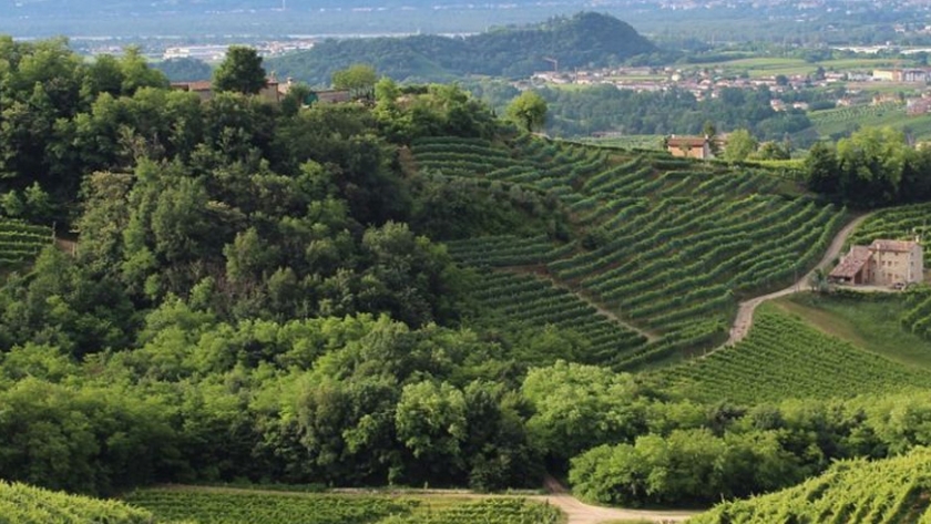 ¿Por qué son tan especiales las colinas de Conegliano y Valdobbiadene en Italia?