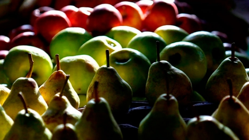 Las exportaciones argentinas de peras crecieron 9,3% en los primeros siete meses del 2020