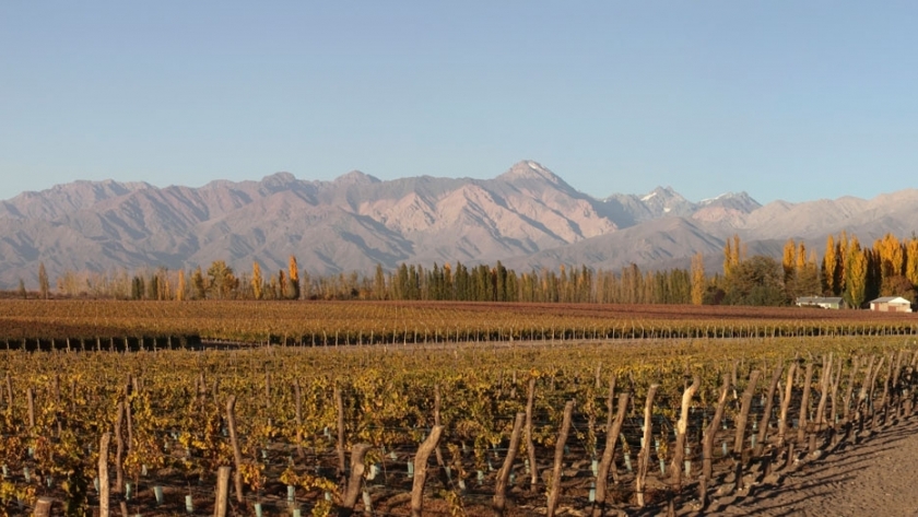 Enoturismo en la Argentina