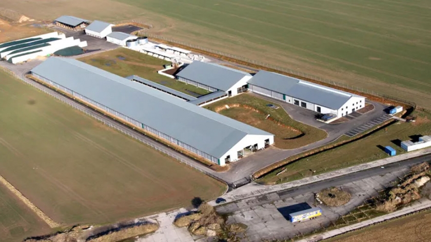 La denominada granja de las 1000 vacas, símbolo de la agricultura industrial, cesa su actividad lechera