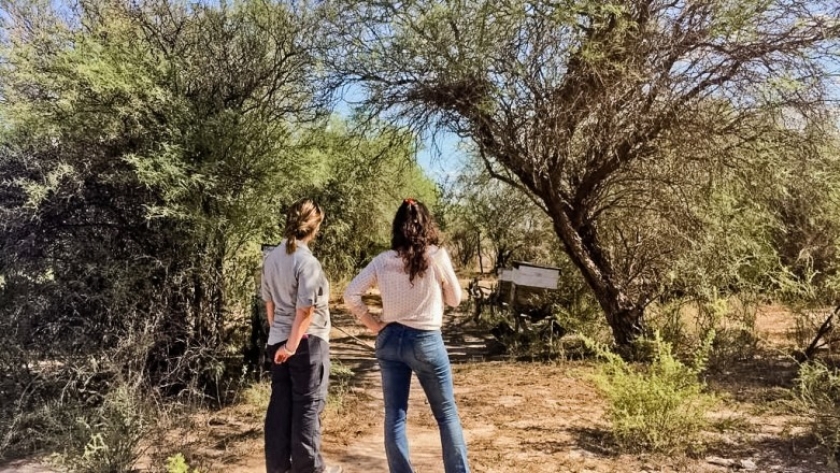 Ambiente trabaja en la creación del Registro de Responsables Técnicos de Planes de Bosques Nativos