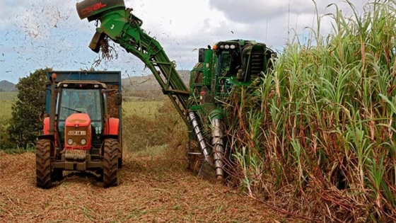 Tucumán traza el plan para la zafra 2026 con foco en exportaciones y previsibilidad