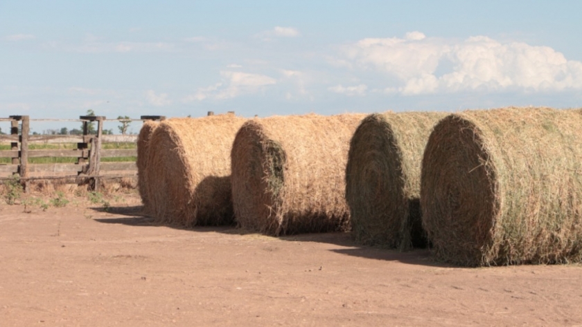 Santa Fe ofrece créditos con tasa bonificada al sector agropecuario