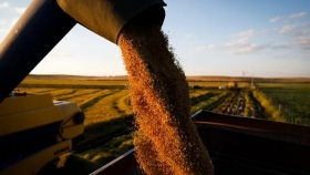 La preocupación por la cosecha de granos gruesos de Argentina impulsa al precio de la soja en Chicago: cuánto se pagó en Rosario