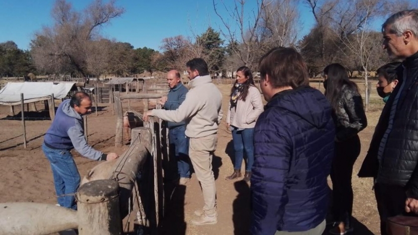 La Pampa importante proveedor de genética en la región