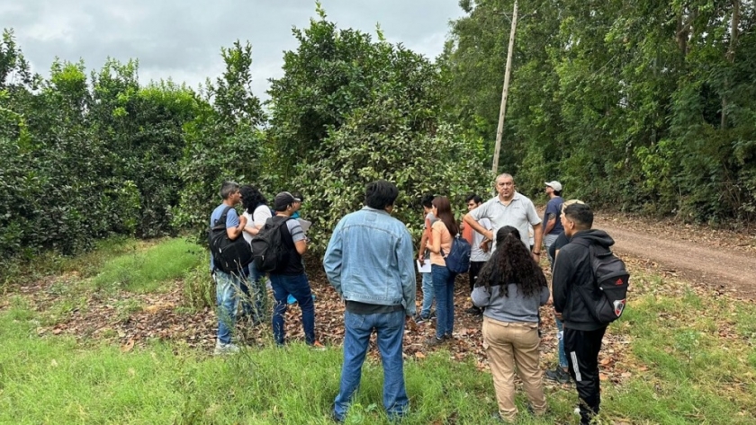 Jujuy: Curso para postulantes a monitoreadores de frutas cítricas para exportación