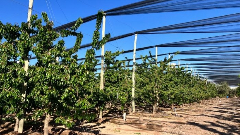 Productores pueden acceder a créditos de hasta $30 millones para mitigación del riesgo climático