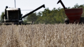 Los buenos precios de la soja disparan las consultas para invertir en el agro
