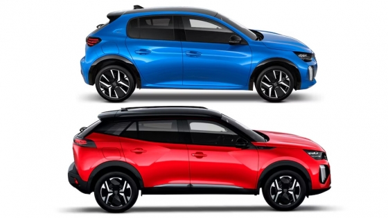 B-Hatch vs. B-SUV: ¿Qué segmento liderará las ventas en Argentina?