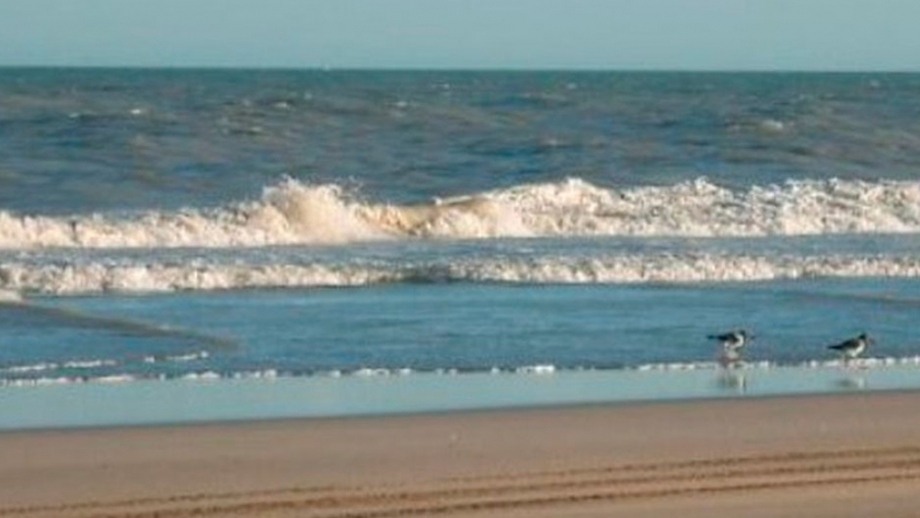 Argentina podría perder hasta 100 metros de playa en los próximos 30 años debido al cambio climático