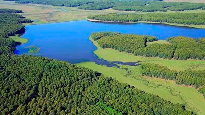 ONU advierte, A medida que los bosques del mundo siguen menguando por la deforestación sin ordenación, deben tomarse medidas urgentes para salvaguardar su biodiversidad 
