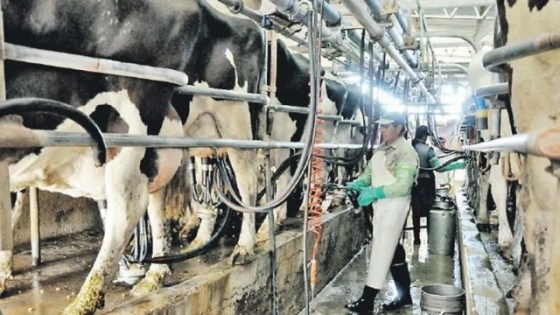 La producción lechera creció 10,9% en el primer trimestre