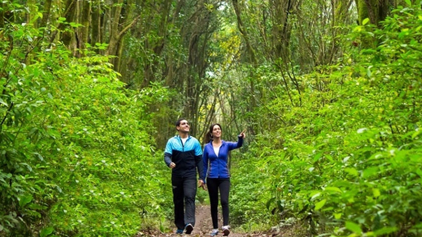 Refuerzan lazos para revalorizar el Parque Sierra San Javier