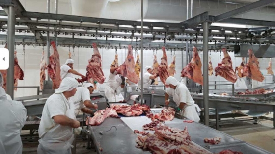 El consumo de carne ajusta por precios y hasta fin de año no habría mejoras en los valores de la carne y del ganado