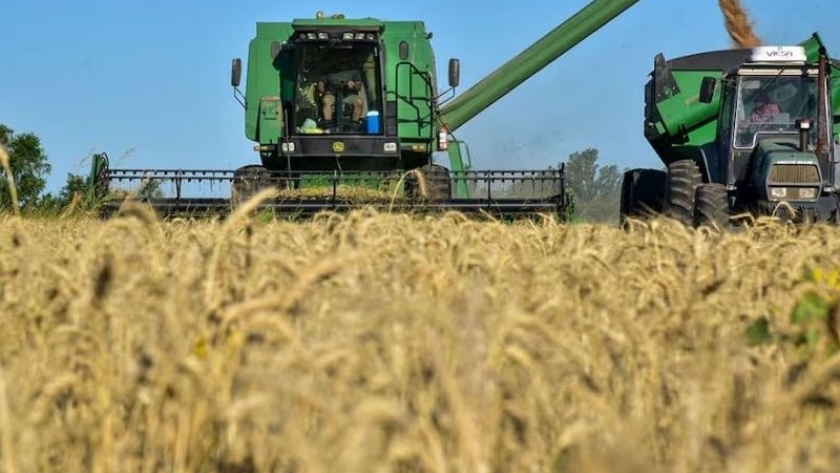 En Entre Ríos, los rindes históricos no cubren los costos de producción, advierte la Bolsa provincial