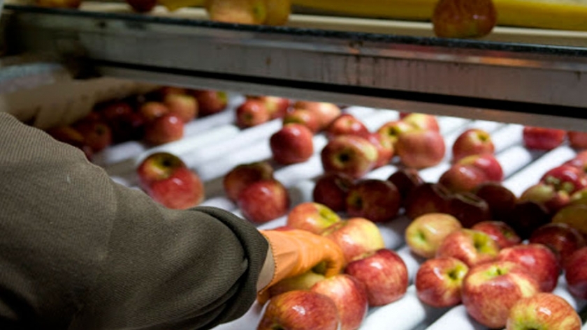Manzanas y peras frescas podrán incorporar el sello de calidad Alimentos Argentinos