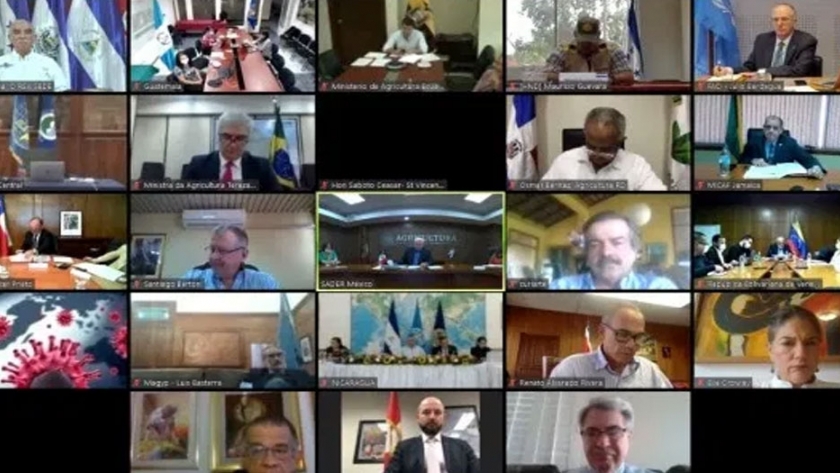 América: se realizó la reunión hemisférica de ministros y secretarios de agricultura para garantizar alimentación ante covid-19