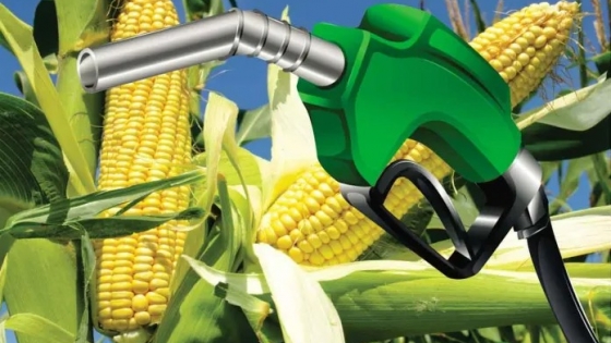 La mayor cooperativa agrícola de Brasil invierta U$S 340 MM para ingresar al mercado de bioetanol
