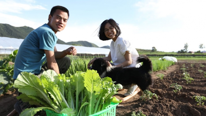 El comercio electrónico reconfigura la agricultura orgánica en China