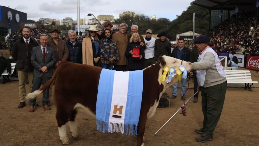 Muñeca brilló en Palermo: una ternera Hereford se consagró Gran Campeón Hembra en la Expo Rural 2025