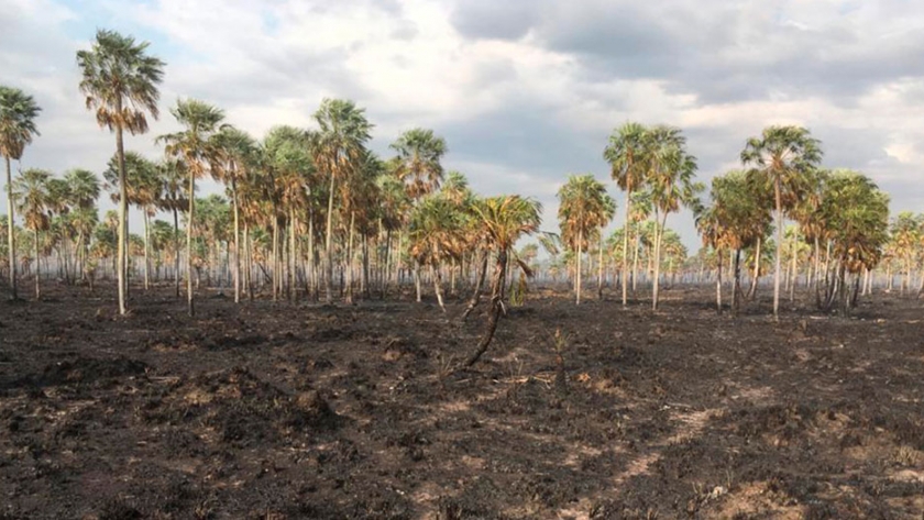 La Nación homologó el estado de emergencia agropecuaria en Formosa