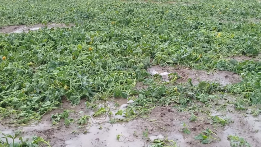 El gobierno provincial trabaja en las estrategias para sostener la situación de Emergencia Agrícola
