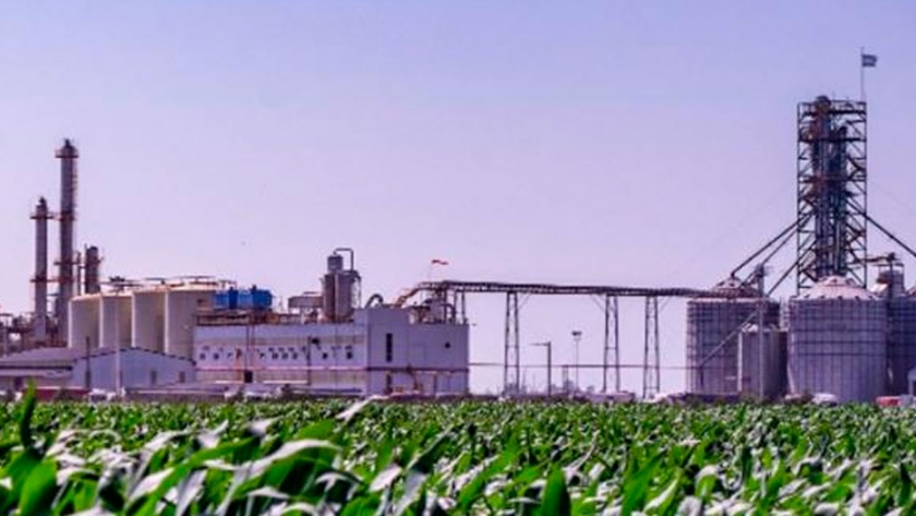 Etanol de maíz: con la producción a pleno, podría sustituir casi el 100% de la importación de nafta