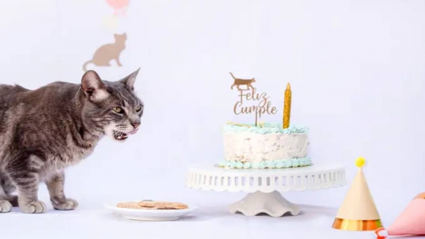 Happy Pets: snacks saludables para celebrar la amistad