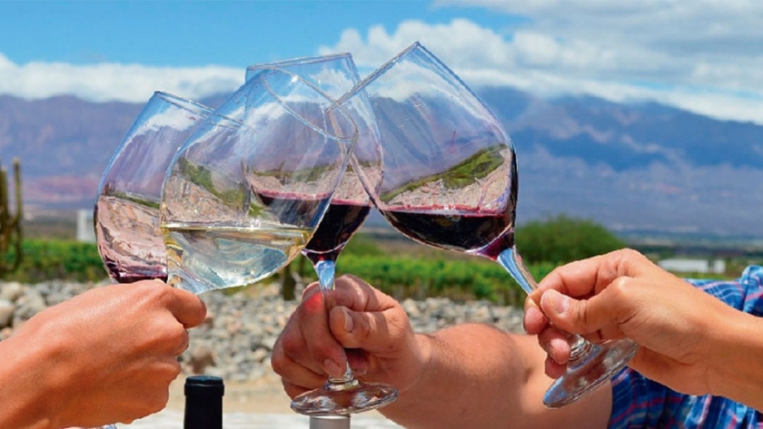 *El Gobierno salteño* promueve el comercio formal de vinos con Paraguay