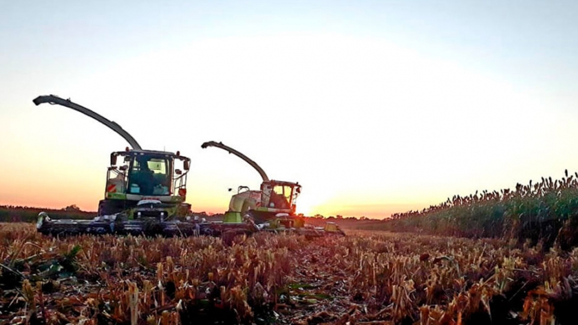 Silaje por ambientes: ya se confeccionan en Argentina para potenciar la producción