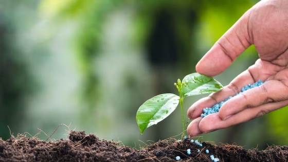 La industria de fertilizantes crece un 5% en 2024 tras la peor campaña en cinco años