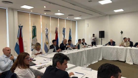 Misiones reunió al NEA para definir una agenda productiva común en la 2ª Reunión Regional del Consejo Federal Agropecuario
