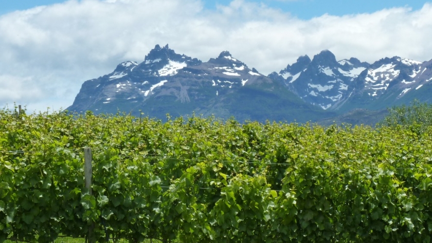 Reconocidos periodistas especializados, sommeliers e influencers de seis países recorrerán viñedos y bodegas de Chubut