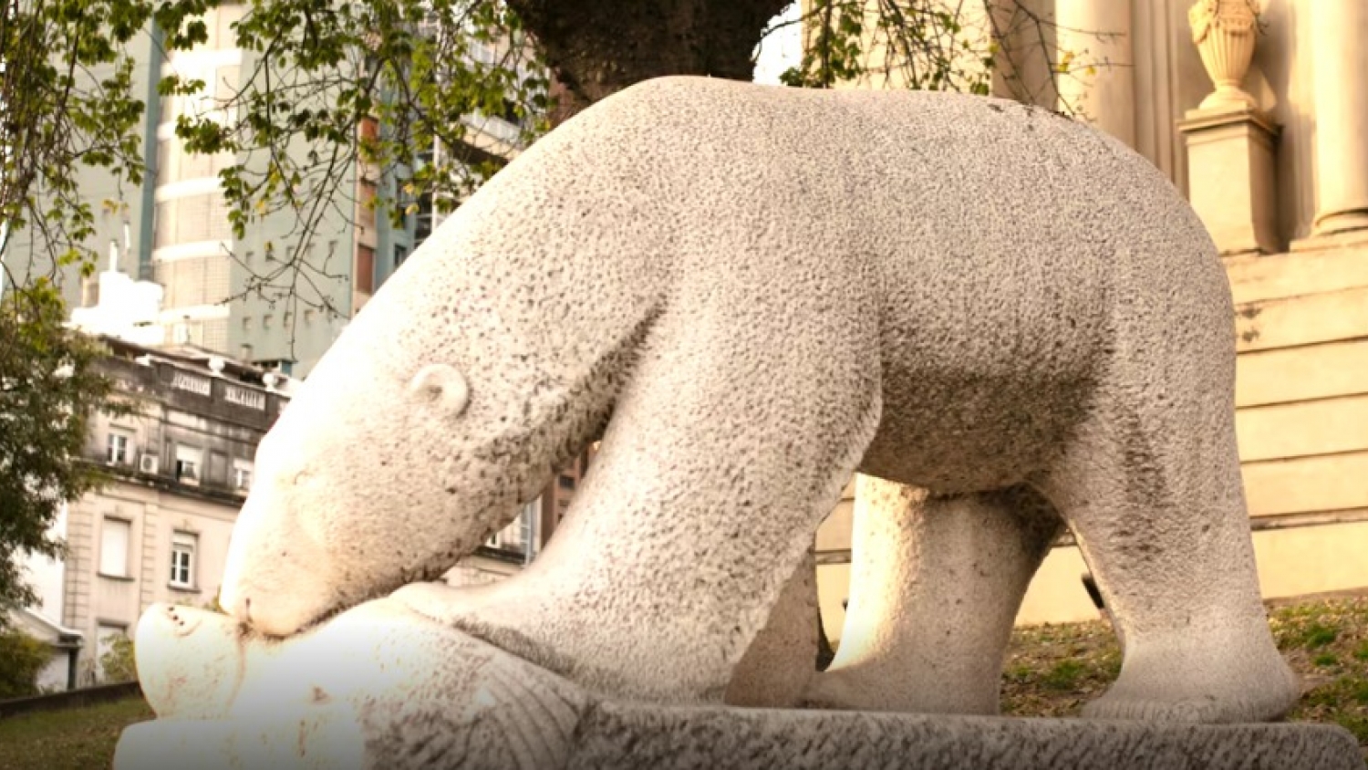 La travesía del oso polar de Córdoba: de encargo oficial a ícono itinerante