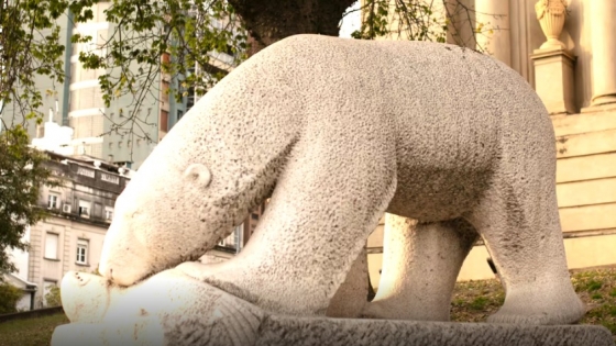 La travesía del oso polar de Córdoba: de encargo oficial a ícono itinerante