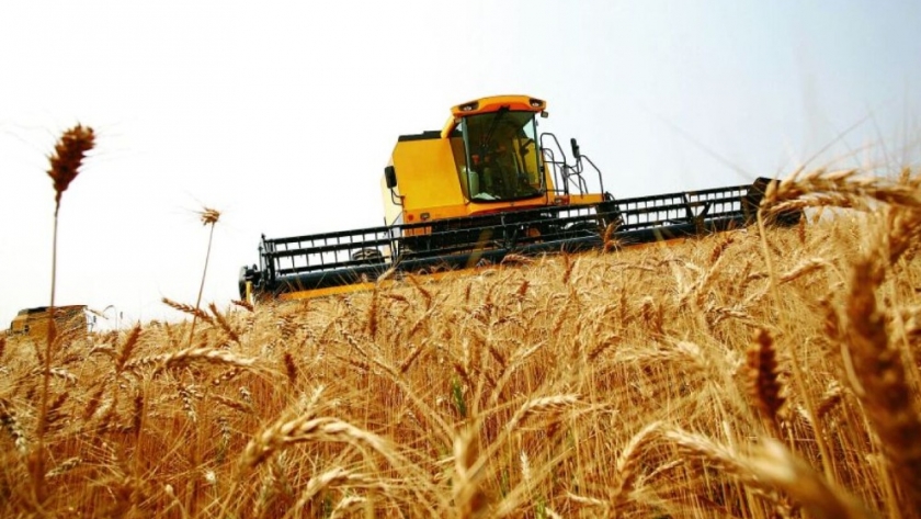 Exportaciones agrícolas argentinas: proyección de ingresos por $8000 millones en tres meses