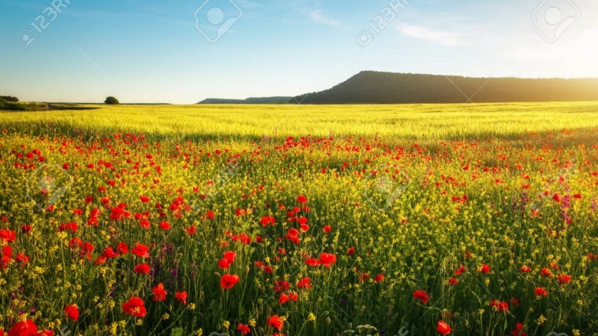 Como viene el clima en el sector, con el inicio de la primavera